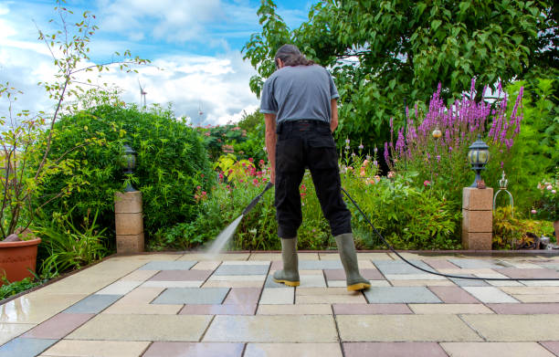 Best Spring Cleaning  in Lloyd Harbor, NY